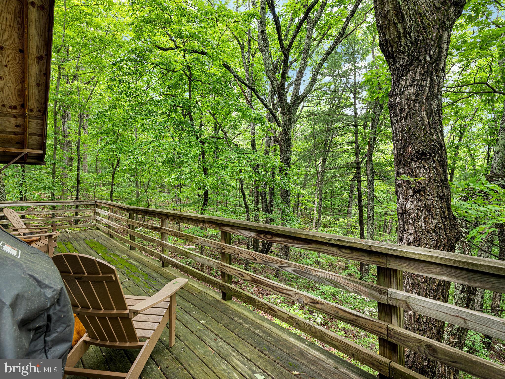 267 Bushy Ridge Drive Star Tannery, VA 22654 - Photo 19 of 37 2E6A6562_267 Bushy Ridge Dr - Absolute Altitude -