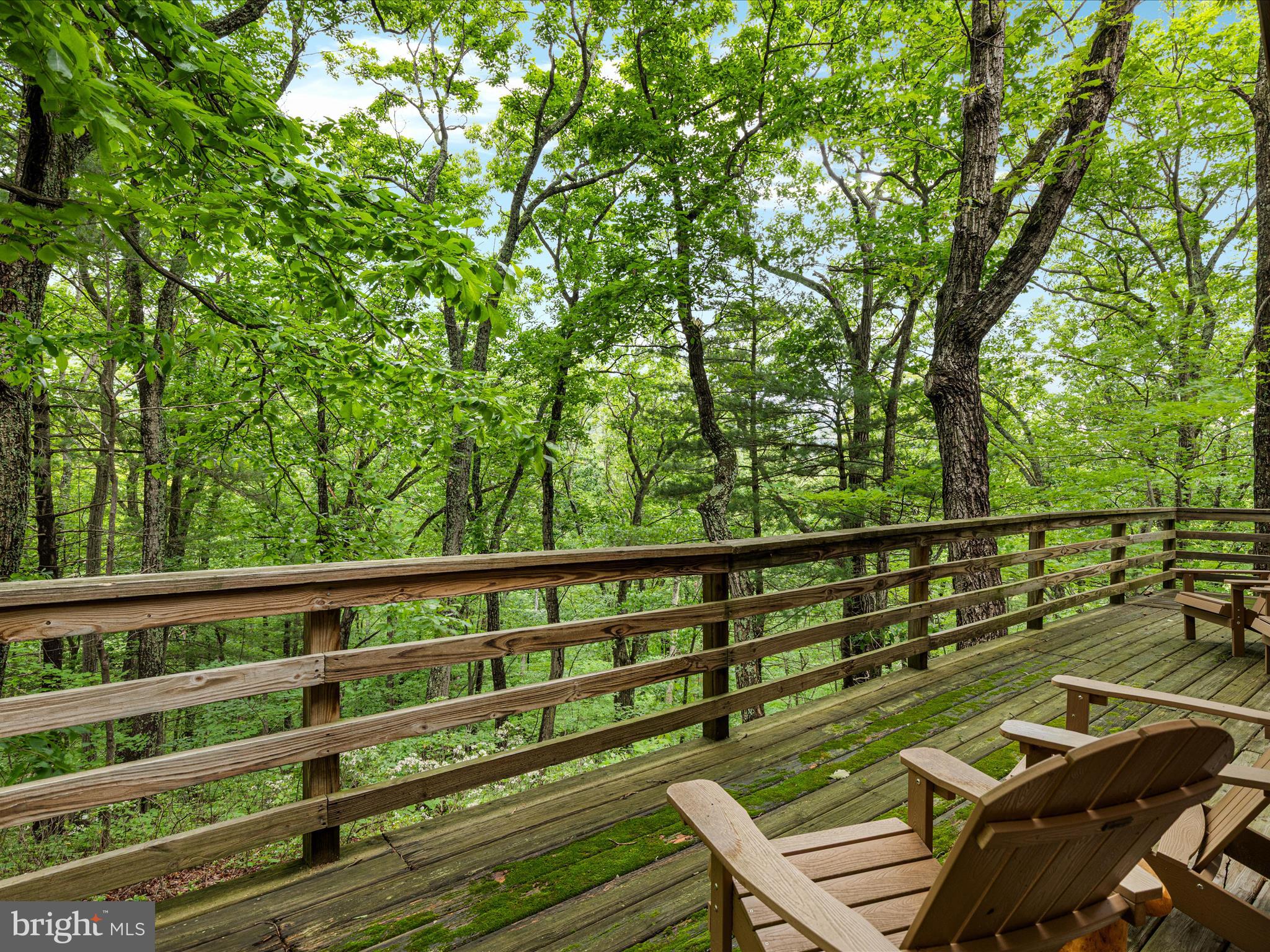 267 Bushy Ridge Drive Star Tannery, VA 22654 - Photo 20 of 37 2E6A6567_267 Bushy Ridge Dr - Absolute Altitude -