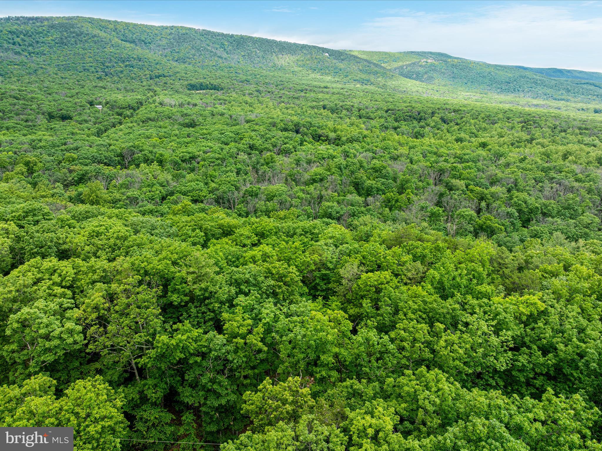 267 Bushy Ridge Drive Star Tannery, VA 22654 - Photo 21 of 37 DJI_0053_267 Bushy Ridge Dr - Absolute Altitude -