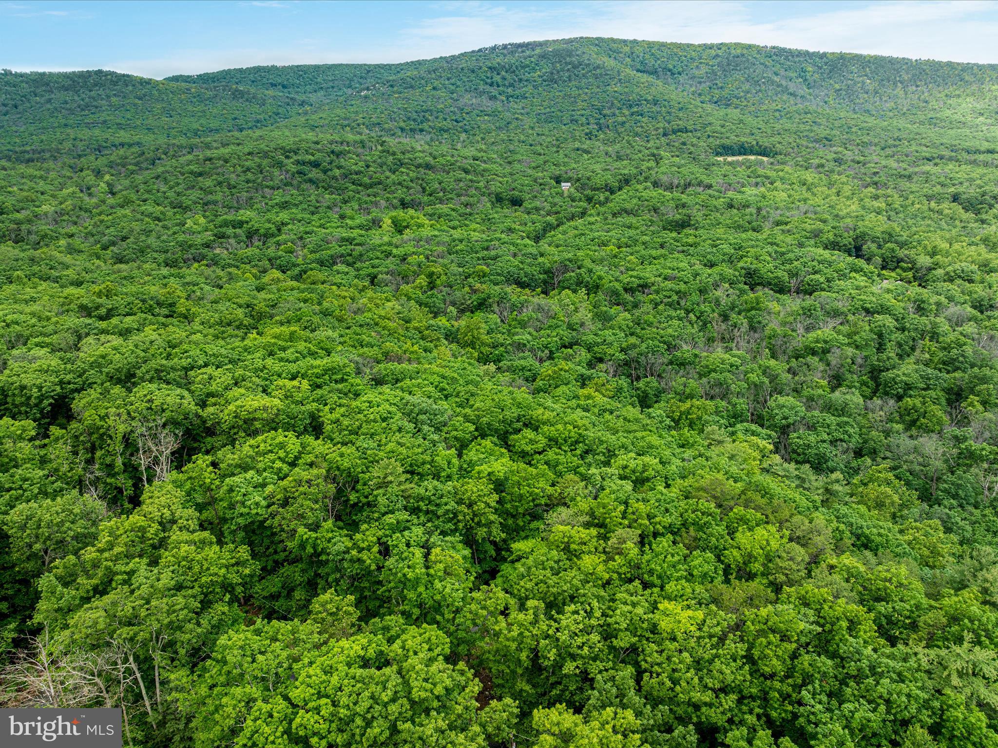 267 Bushy Ridge Drive Star Tannery, VA 22654 - Photo 22 of 37 DJI_0054_267 Bushy Ridge Dr - Absolute Altitude -