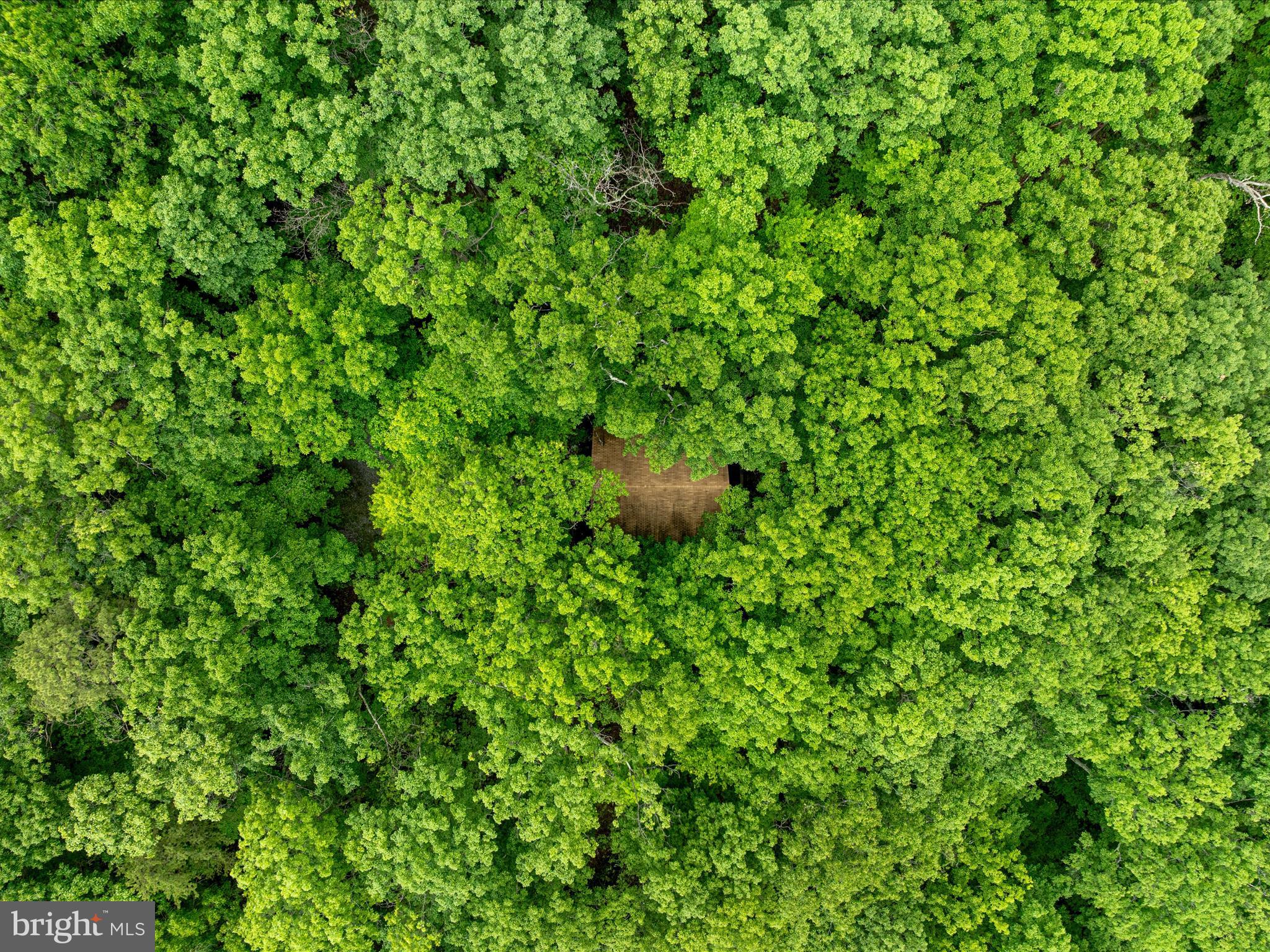 267 Bushy Ridge Drive Star Tannery, VA 22654 - Photo 23 of 37 DJI_0055_267 Bushy Ridge Dr - Absolute Altitude -