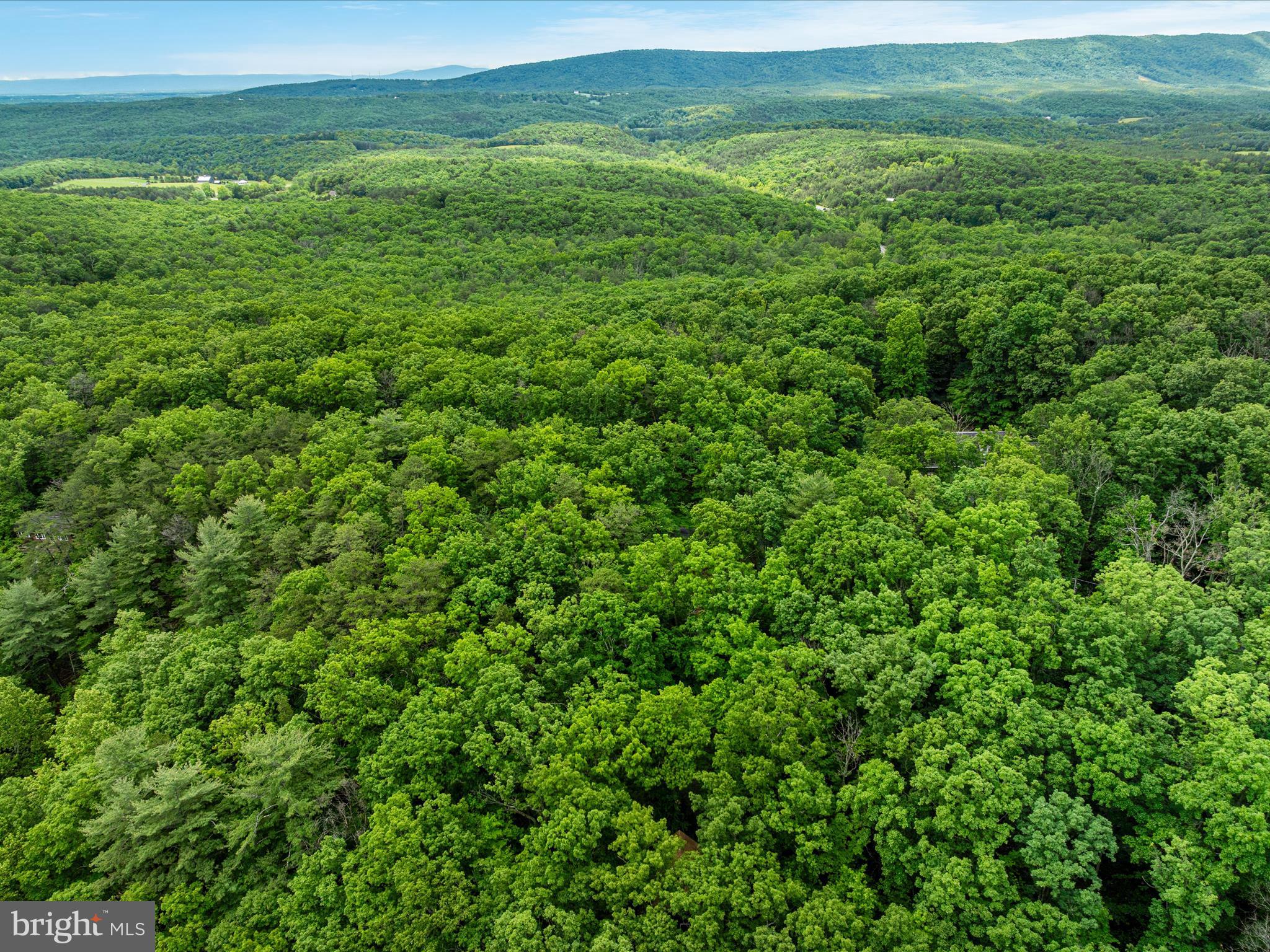 267 Bushy Ridge Drive Star Tannery, VA 22654 - Photo 24 of 37 DJI_0057_267 Bushy Ridge Dr - Absolute Altitude -
