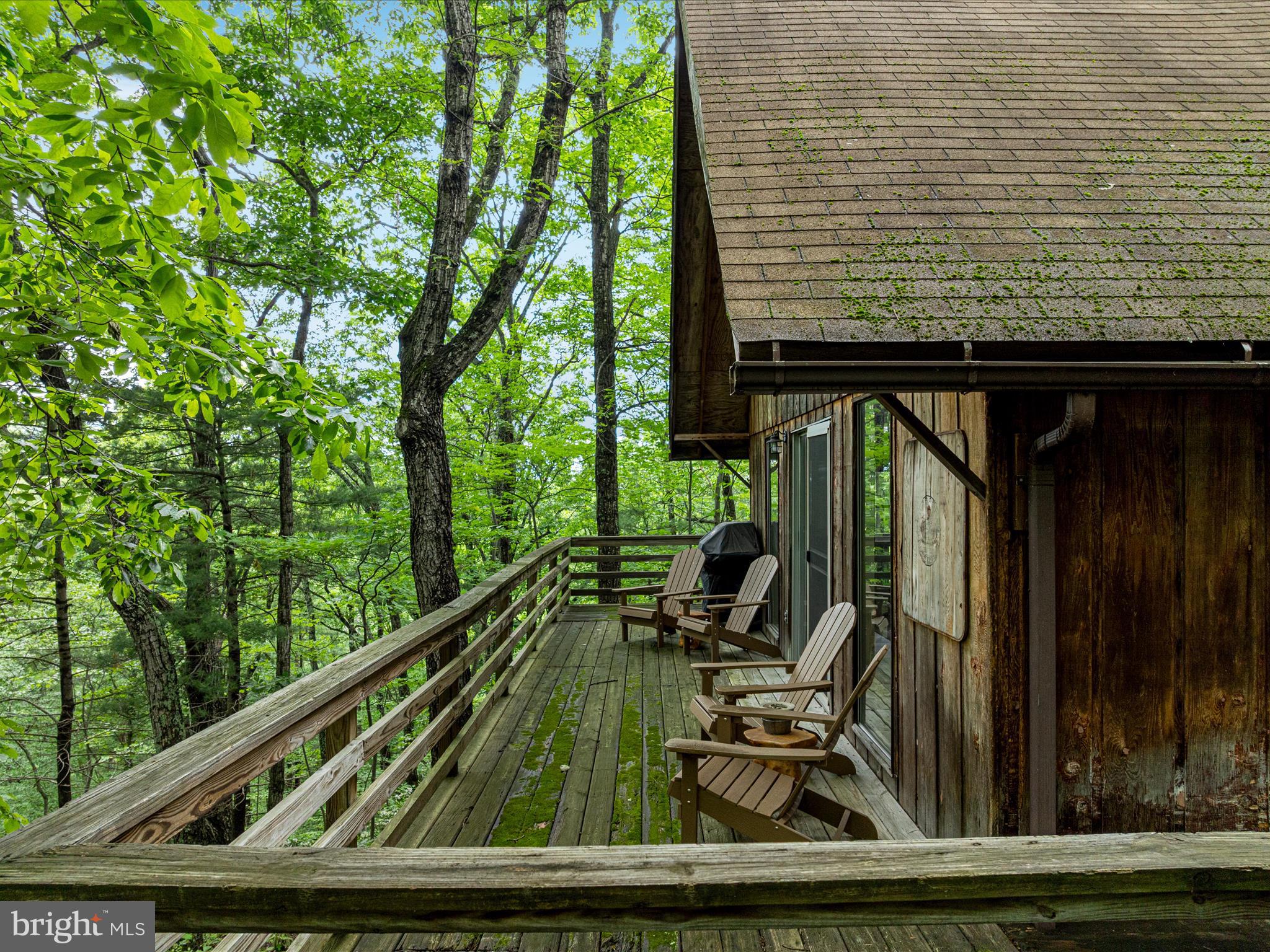 267 Bushy Ridge Drive Star Tannery, VA 22654 - Photo 30 of 37 DJI_0063_267 Bushy Ridge Dr - Absolute Altitude -
