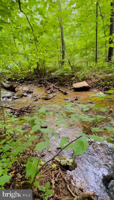267 Bushy Ridge Drive Star Tannery, VA 22654 - Photo 33 of 37 seller photo