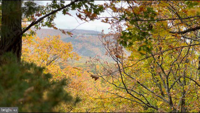 267 Bushy Ridge Drive Star Tannery, VA 22654 - Photo 36 of 37 seller photo