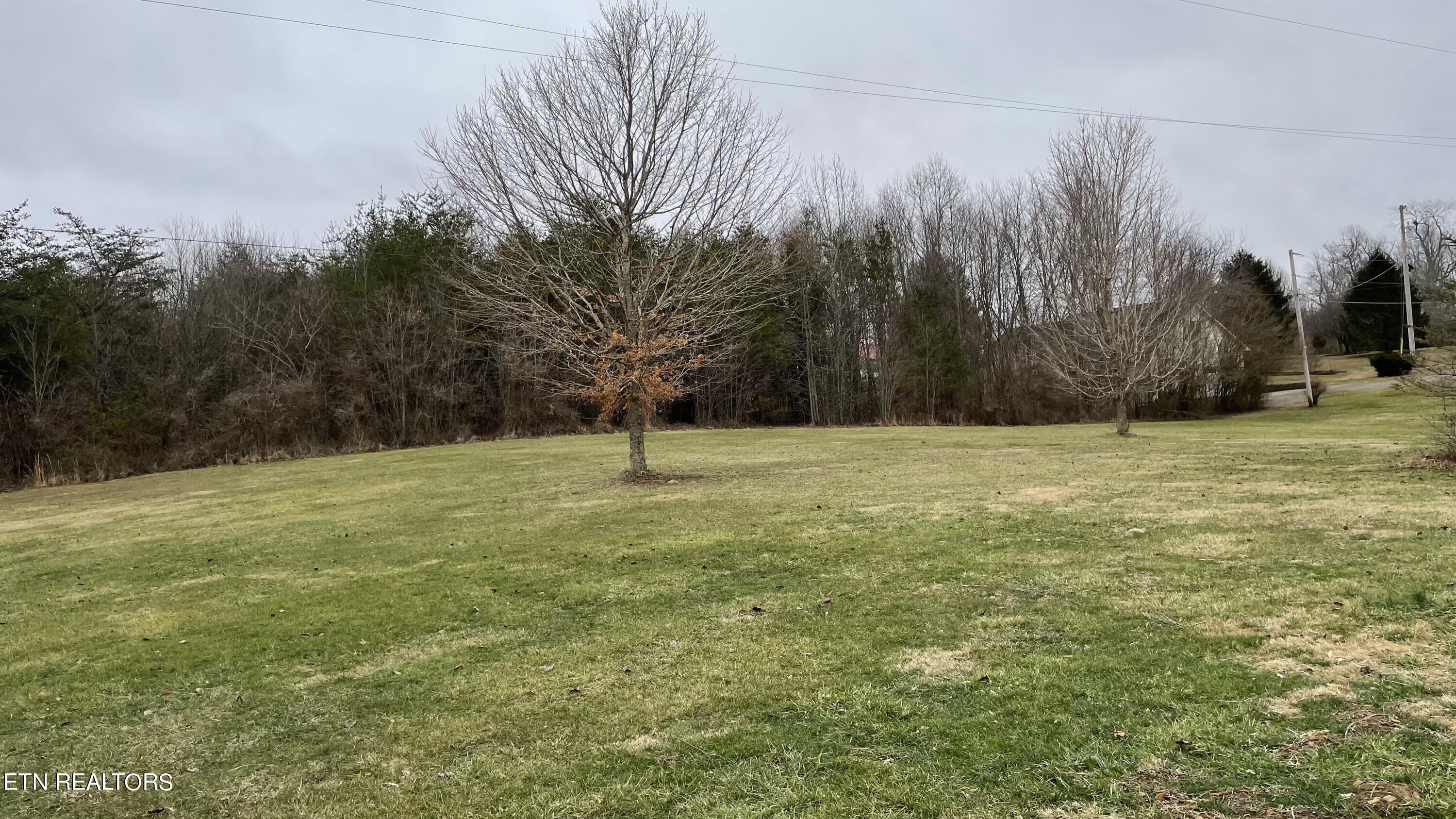 1016 Haley Road Clarkrange, TN 38553 - Photo 19 of 28 Yard