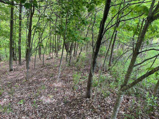 L9 Harrington Road Gilboa, NY 12076 - Photo 12 of 27 IMG_5394