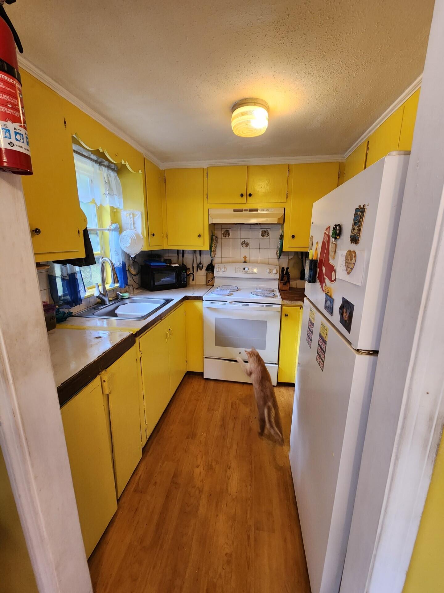 5 Guild Road Forestdale, MA 02644 - Photo 5 of 14 kitch