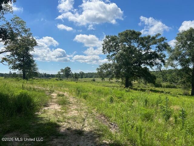 206 Redfish Road Poplarville, MS 39470 - Photo 18 of 28 IMG_6445