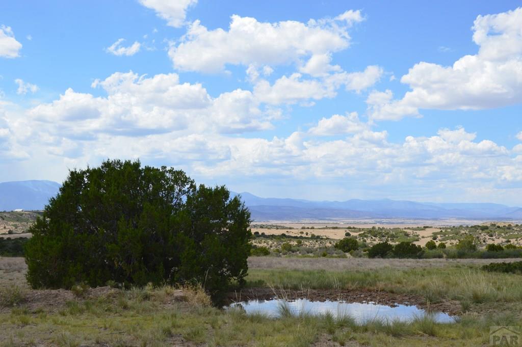 Tbd Claymine Road Rye, CO 81069 - Photo 26 of 56