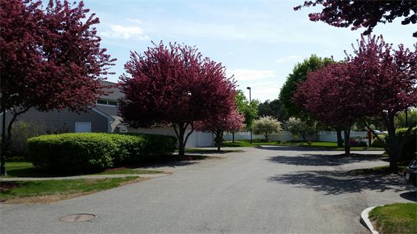 81 Harbourside Road, Unit 64 Quincy, MA 02171 - Photo 3 of 29 Gallery Image 3