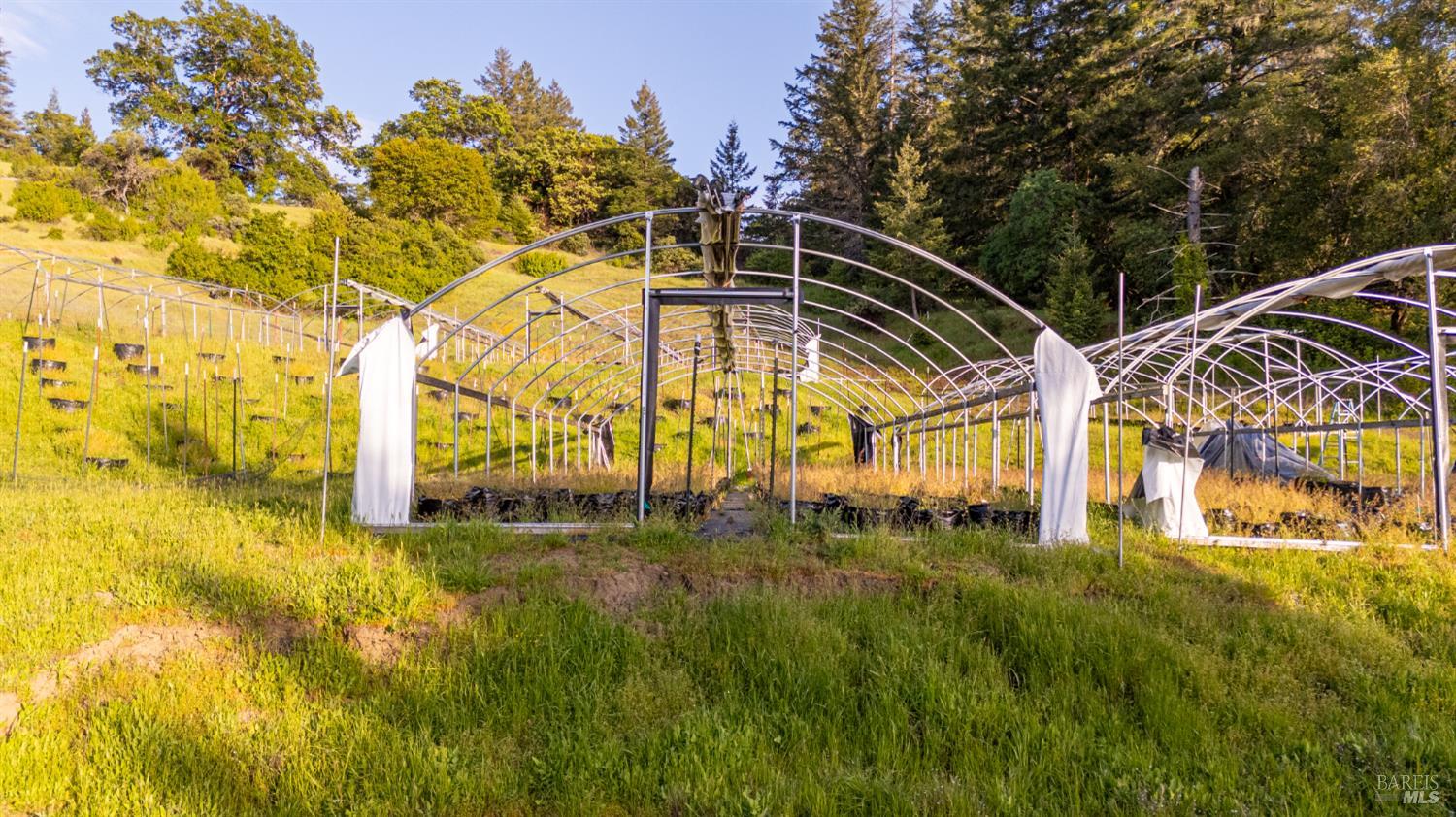 8000 Simmerly Ranch Road Covelo, CA 95428 - Photo 33 of 40