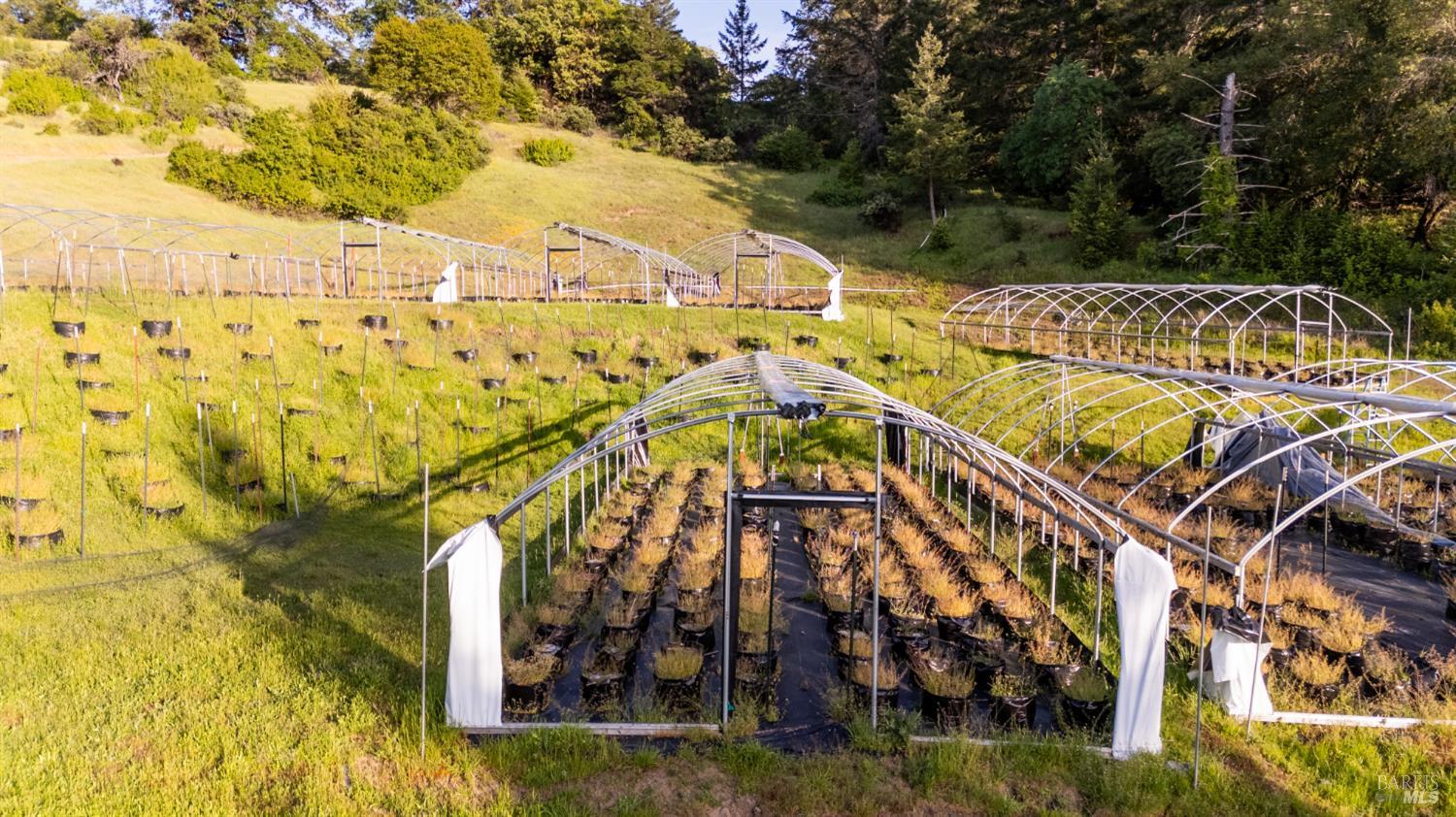 8000 Simmerly Ranch Road Covelo, CA 95428 - Photo 34 of 40