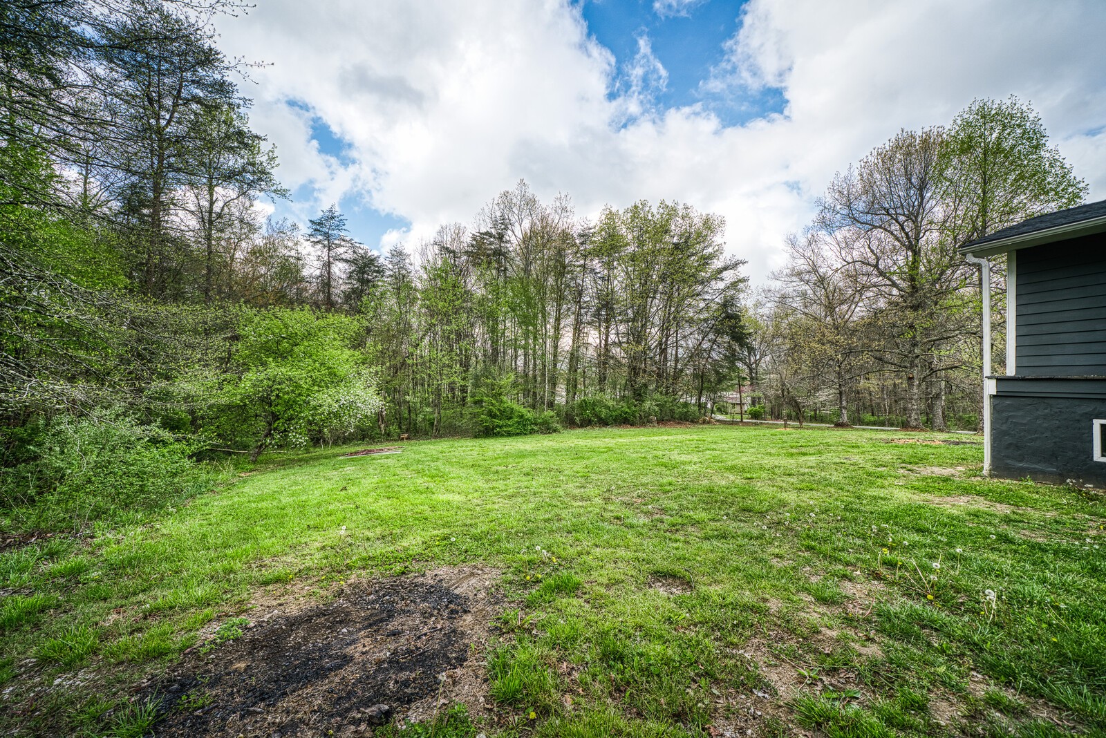 5144 Coal Bank Road Sparta, TN 38583 - Photo 22 of 29 a view of a big yard with plants and large trees