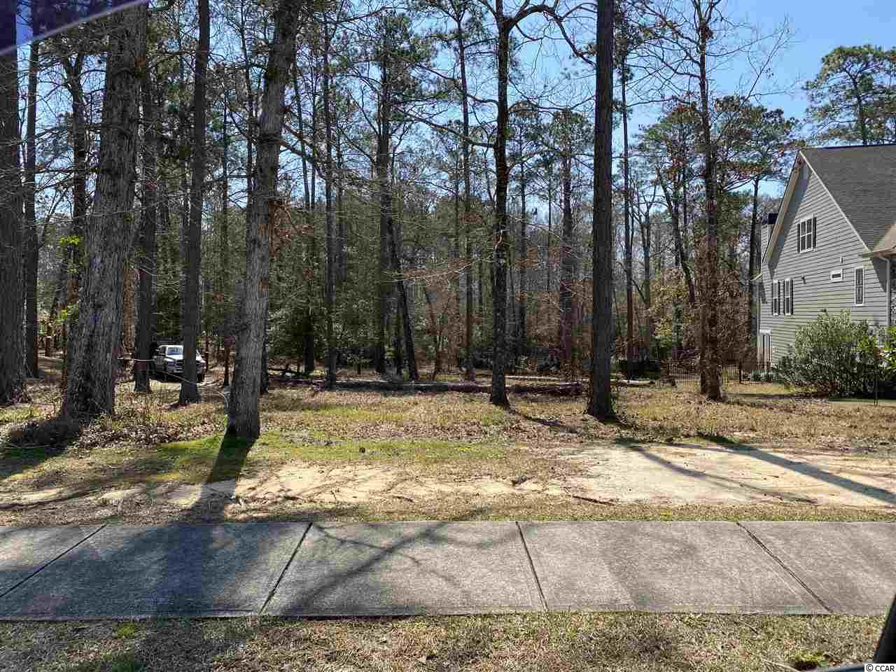 604 Chamberlin Road Myrtle Beach, SC 29588 - Photo 9 of 11 Gallery Image 9