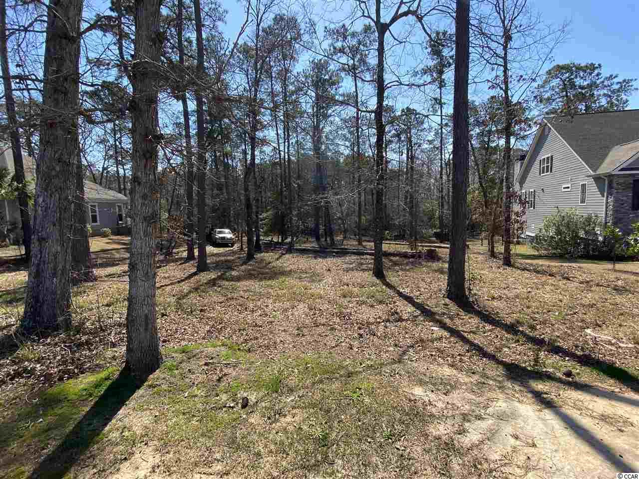 604 Chamberlin Road Myrtle Beach, SC 29588 - Photo 10 of 11 Gallery Image 10