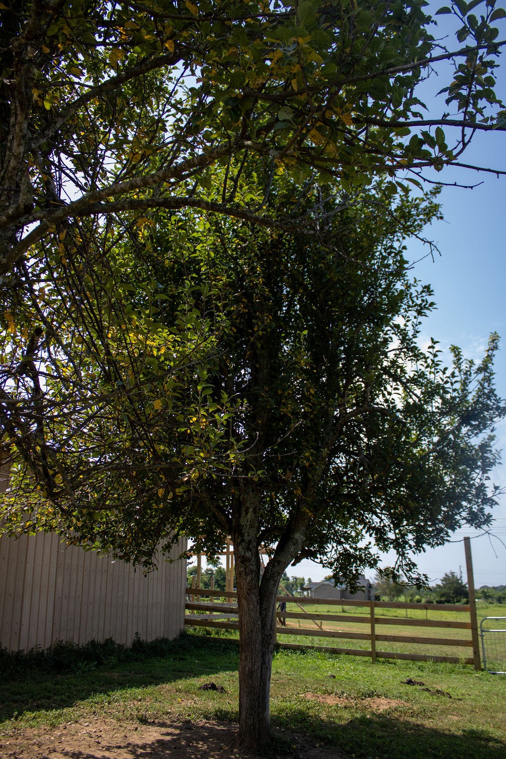 0 Clara Mathis Road Spring Hill, TN 37174 - Photo 10 of 50