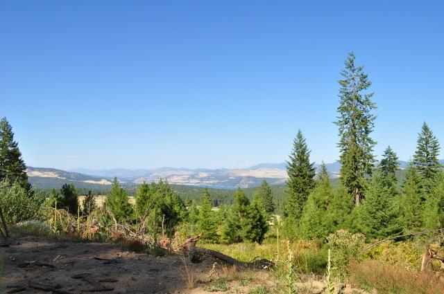 6155 H Enterprise Road Fruitland, WA 99129 - Photo 3 of 9 Gallery Image 3