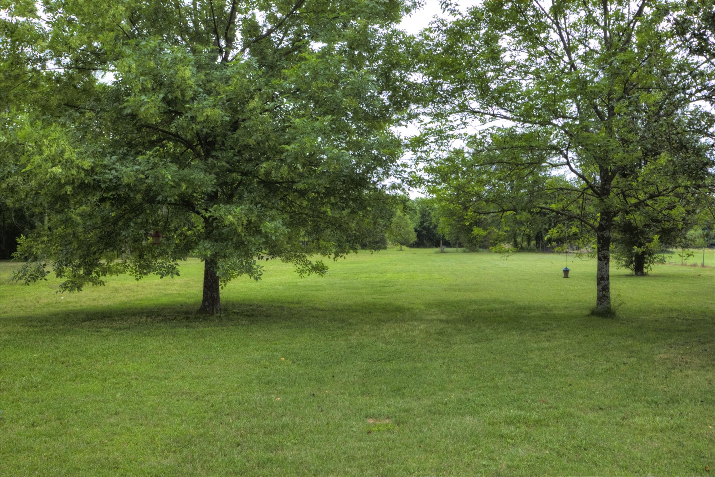 196 County Line Road Bell Buckle, TN 37020 - Photo 3 of 21 a view of field with trees in the background