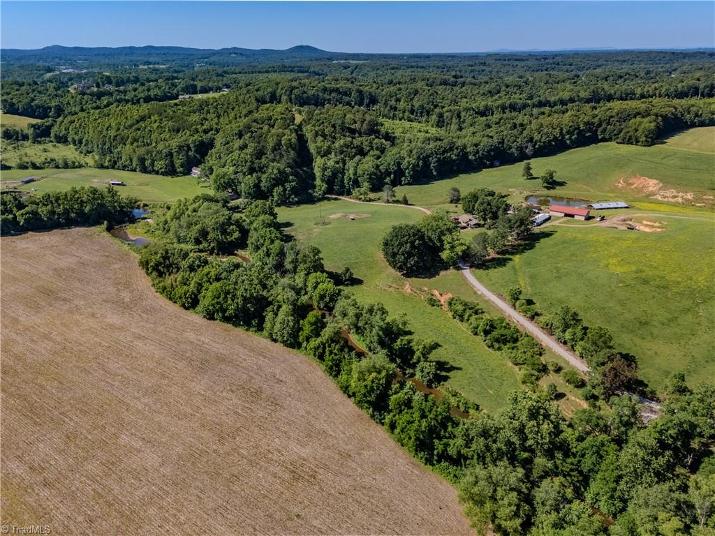 331 Sykes Dairy Road Mount Airy, NC 27030 - Photo 41 of 44