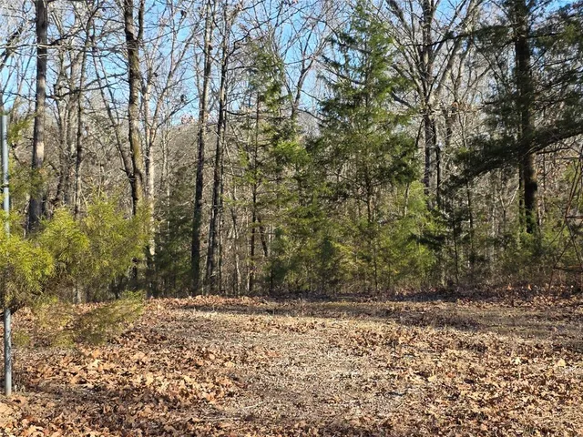 a view of a yard with trees