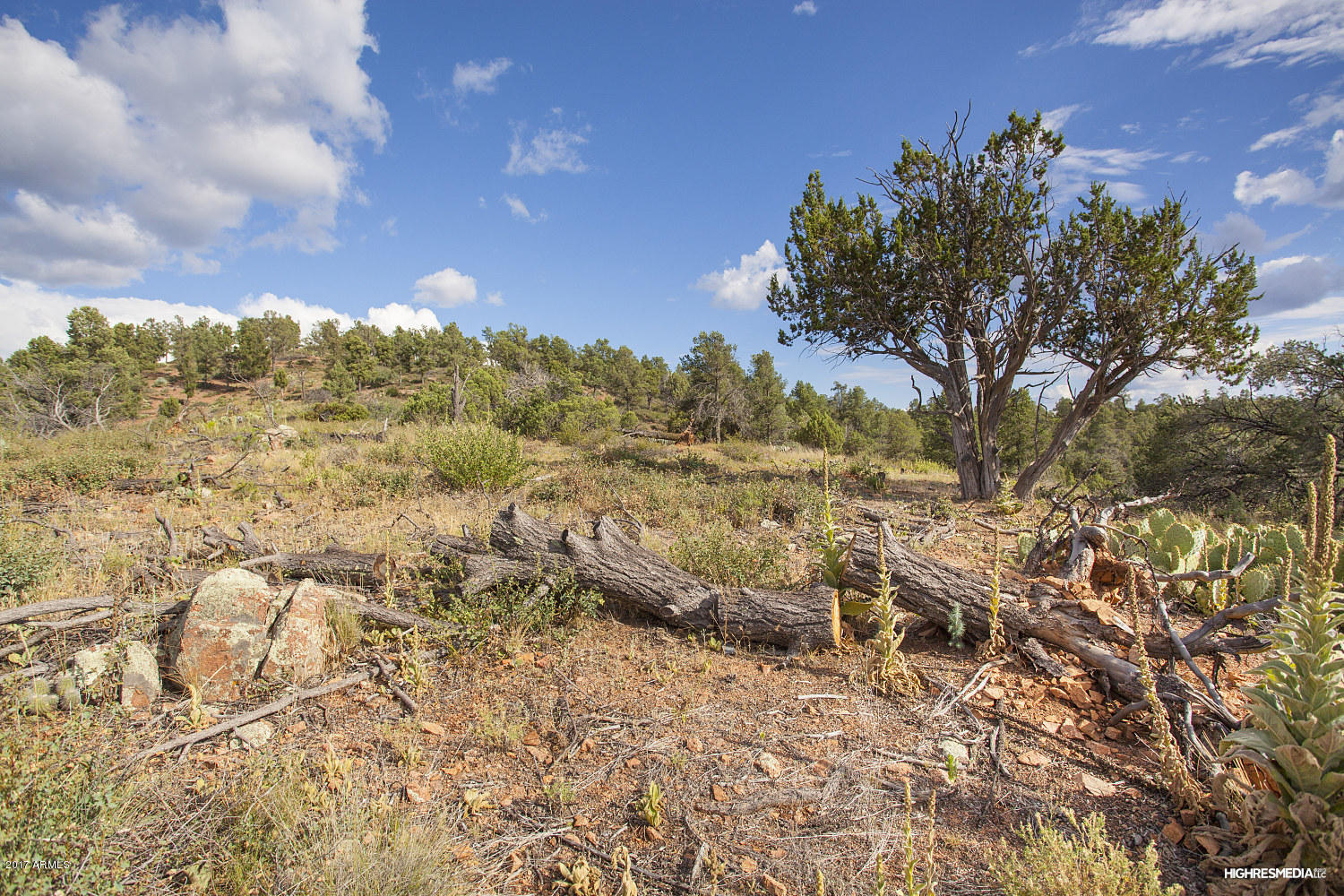 1121 South Mud Springs Road Payson, AZ 85541 - Photo 42 of 49 Looking to National Forest