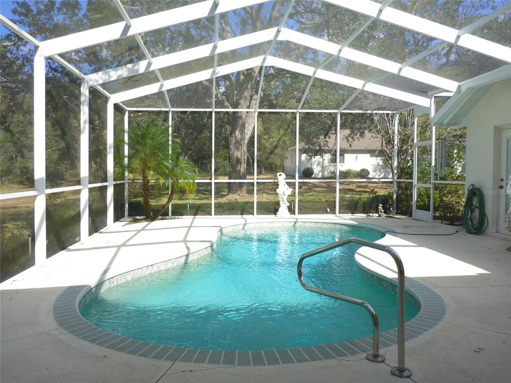12271 Centralia Road Weeki Wachee, FL 34614 - Photo 19 of 36 a view of a swimming pool with a porch