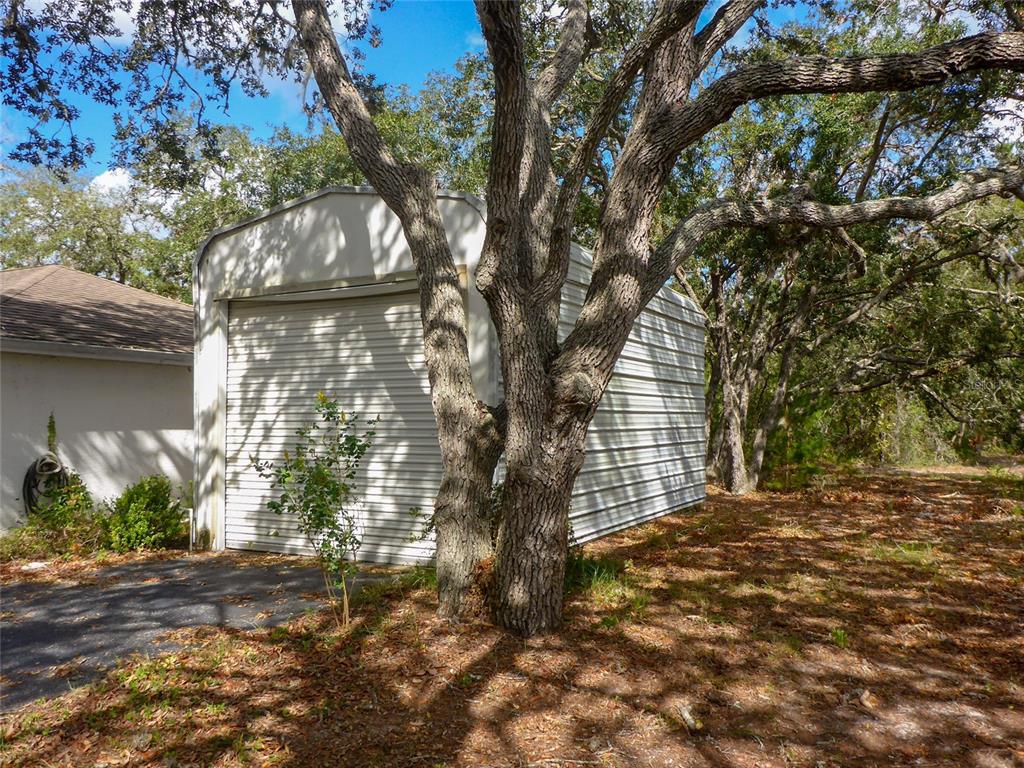 12271 Centralia Road Weeki Wachee, FL 34614 - Photo 31 of 36 a picture of trees