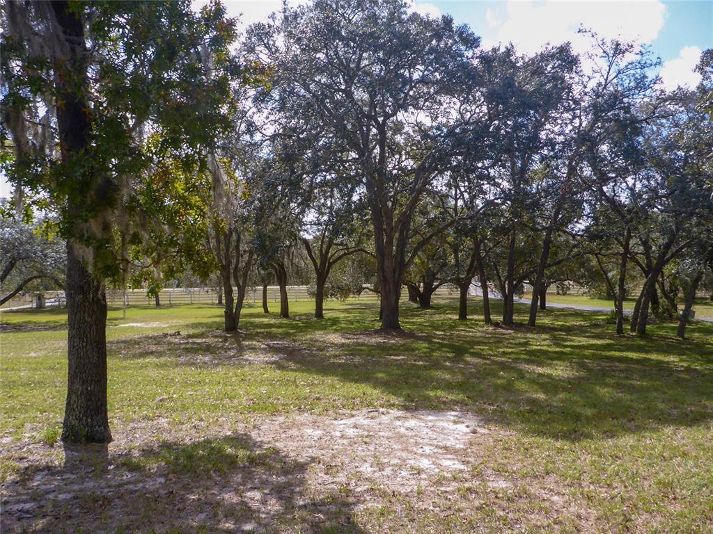 12271 Centralia Road Weeki Wachee, FL 34614 - Photo 34 of 36 a big yard with trees