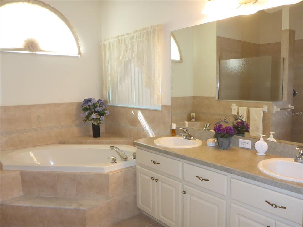 12271 Centralia Road Weeki Wachee, FL 34614 - Photo 9 of 36 a bathroom with a tub sink and mirror