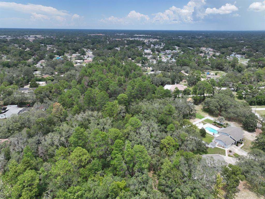 Centerwood Ave Spring Hill Spring Hill, FL 34606 - Photo 12 of 29