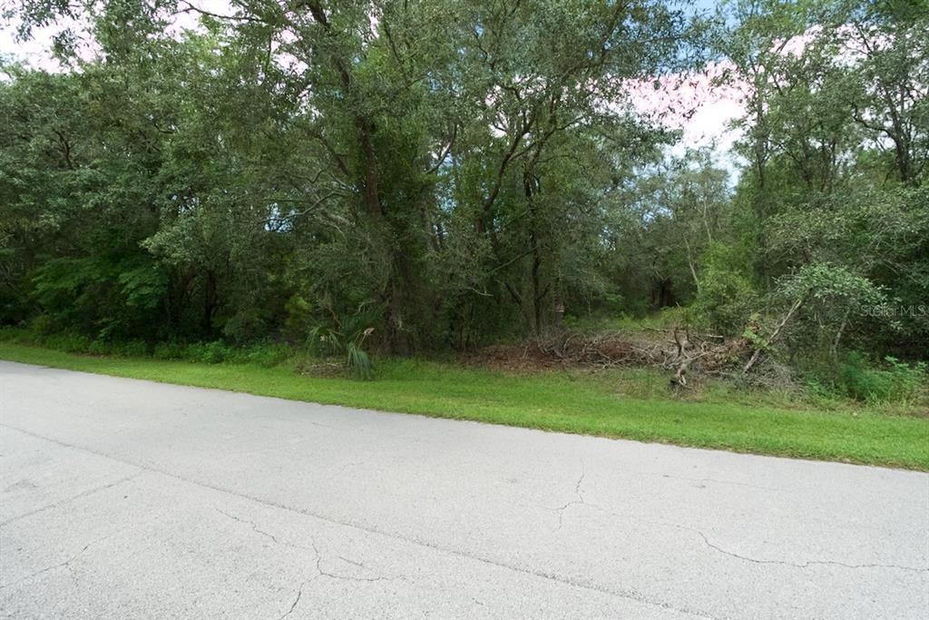 Centerwood Ave Spring Hill Spring Hill, FL 34606 - Photo 23 of 29