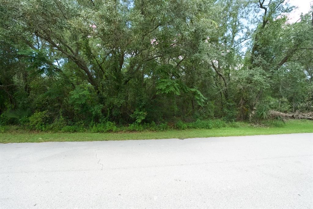 Centerwood Ave Spring Hill Spring Hill, FL 34606 - Photo 24 of 29