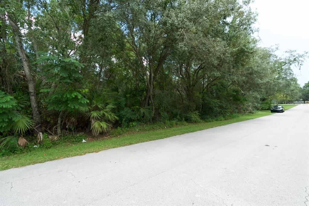 Centerwood Ave Spring Hill Spring Hill, FL 34606 - Photo 25 of 29