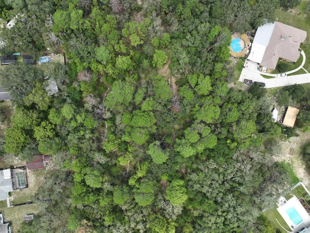 Centerwood Ave Spring Hill Spring Hill, FL 34606 - Photo 28 of 29