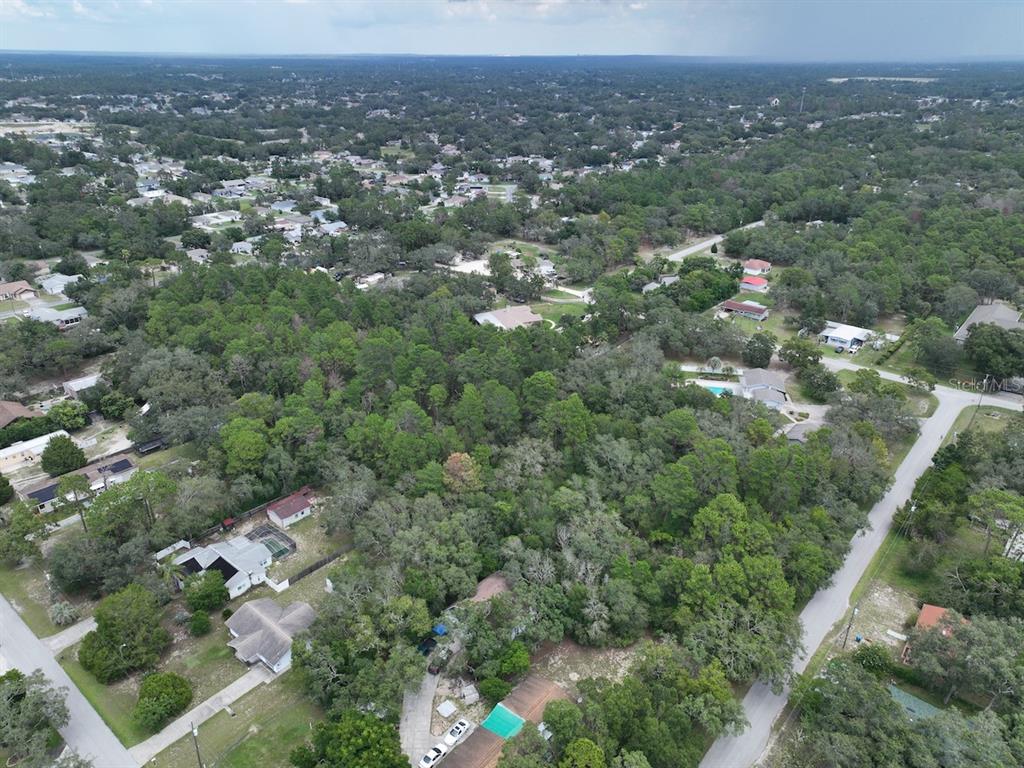 Centerwood Ave Spring Hill Spring Hill, FL 34606 - Photo 7 of 29