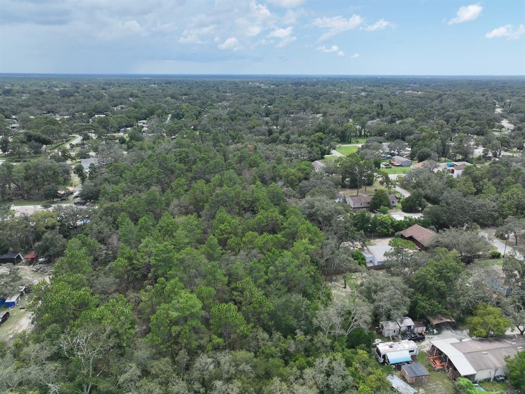 Centerwood Ave Spring Hill Spring Hill, FL 34606 - Photo 9 of 29