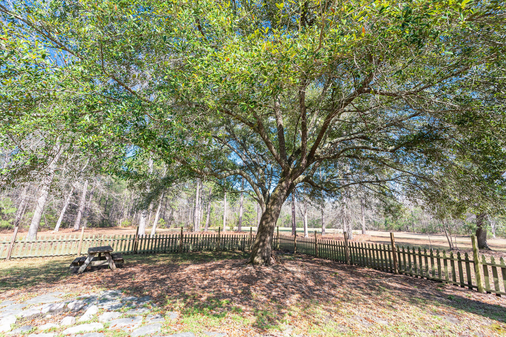 660 West Butternut Road Summerville, SC 29483 - Photo 42 of 60 660WestButternutRoad-KeenEyeMarketing-44