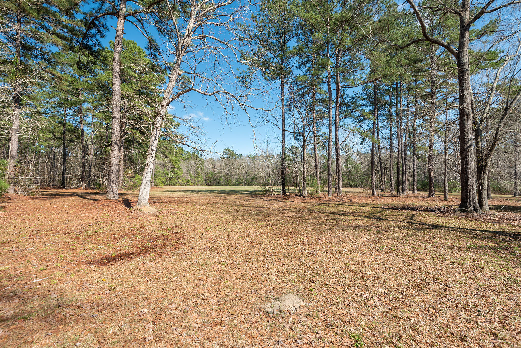 660 West Butternut Road Summerville, SC 29483 - Photo 48 of 60 660WestButternutRoad-KeenEyeMarketing-50