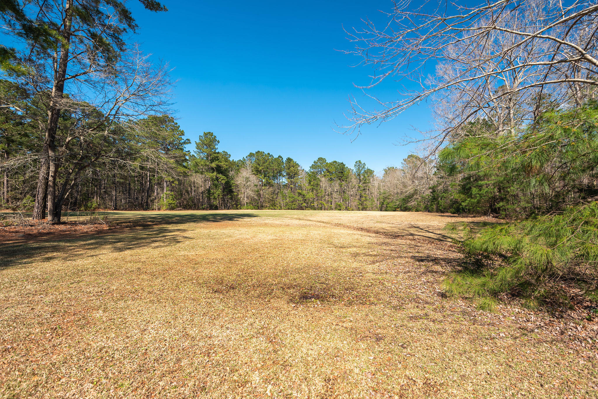 660 West Butternut Road Summerville, SC 29483 - Photo 50 of 60 660WestButternutRoad-KeenEyeMarketing-52