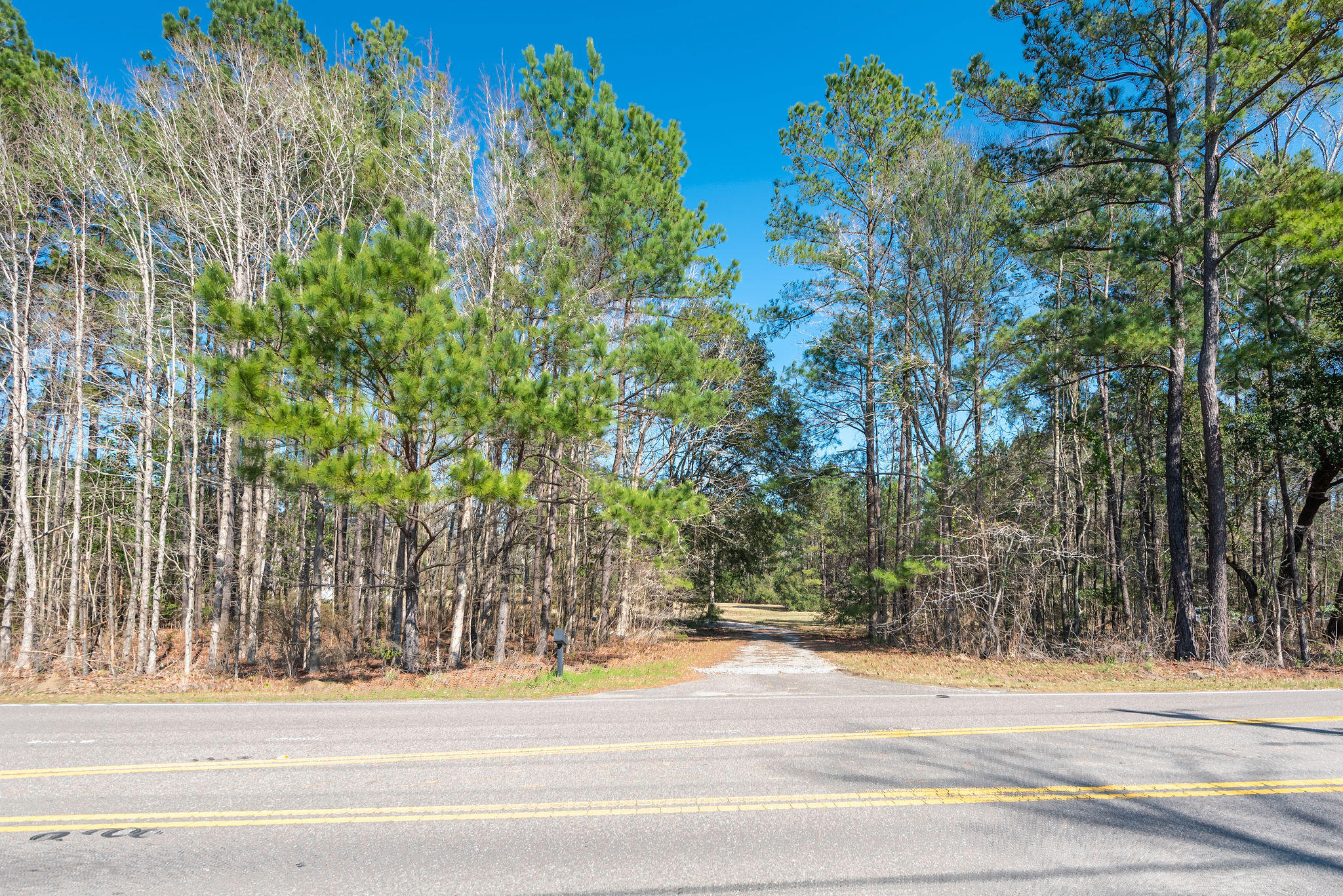 660 West Butternut Road Summerville, SC 29483 - Photo 51 of 60 660WestButternutRoad-KeenEyeMarketing-57