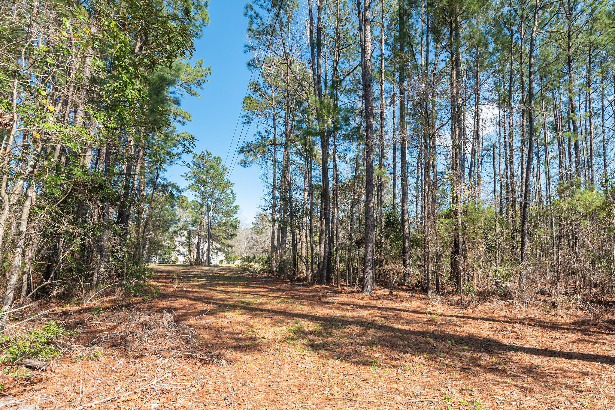 660 West Butternut Road Summerville, SC 29483 - Photo 52 of 60 660WestButternutRoad-KeenEyeMarketing-56