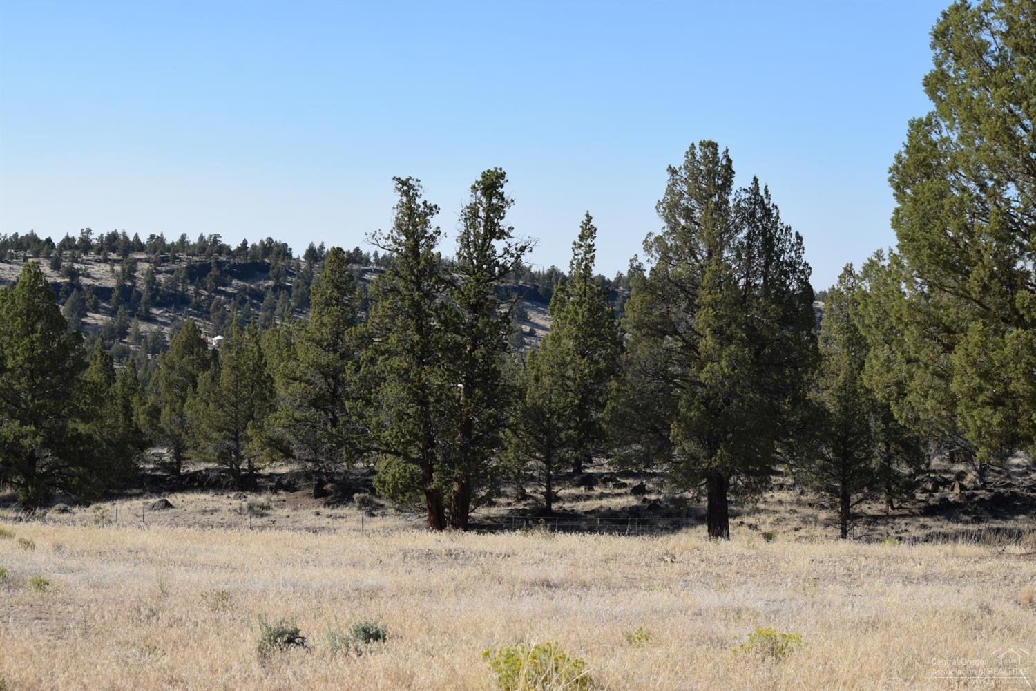 65145 Smokey Ridge Road Bend, OR 97703 - Photo 9 of 13 Additional Photo