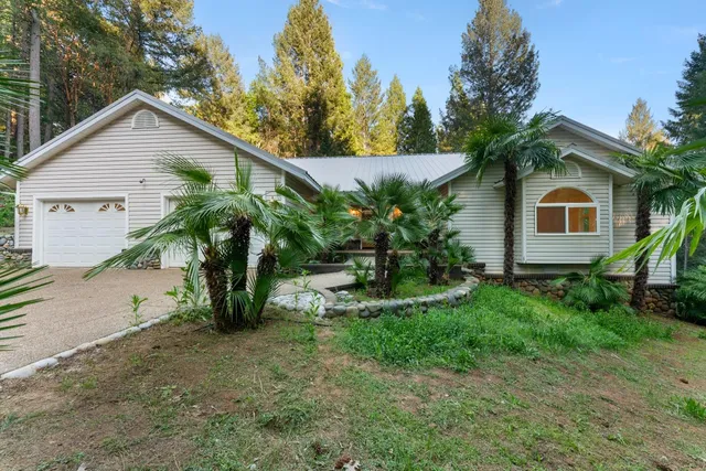 a view of a yard in front of a house with plants and large tree