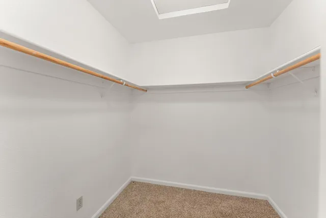 a view of a field with plants and trees in the background