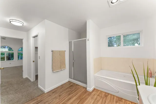 a view of a forest with trees in the background