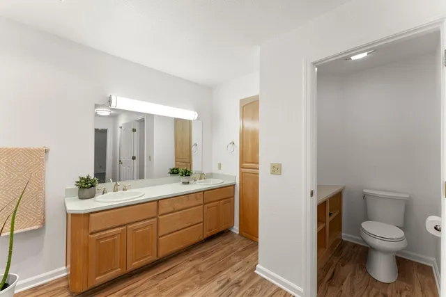 a view of a yard with plants and wooden fence