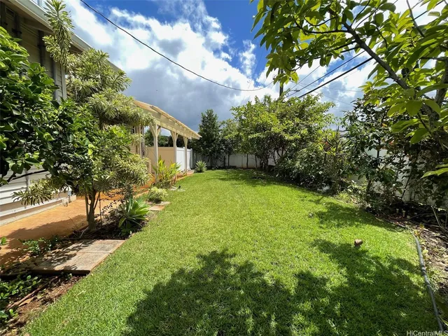 a view of a big yard with plants and large trees