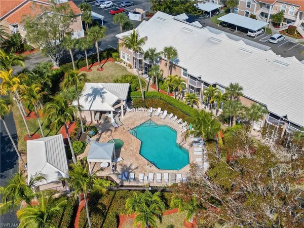 a view of a yard with plants and a large tree