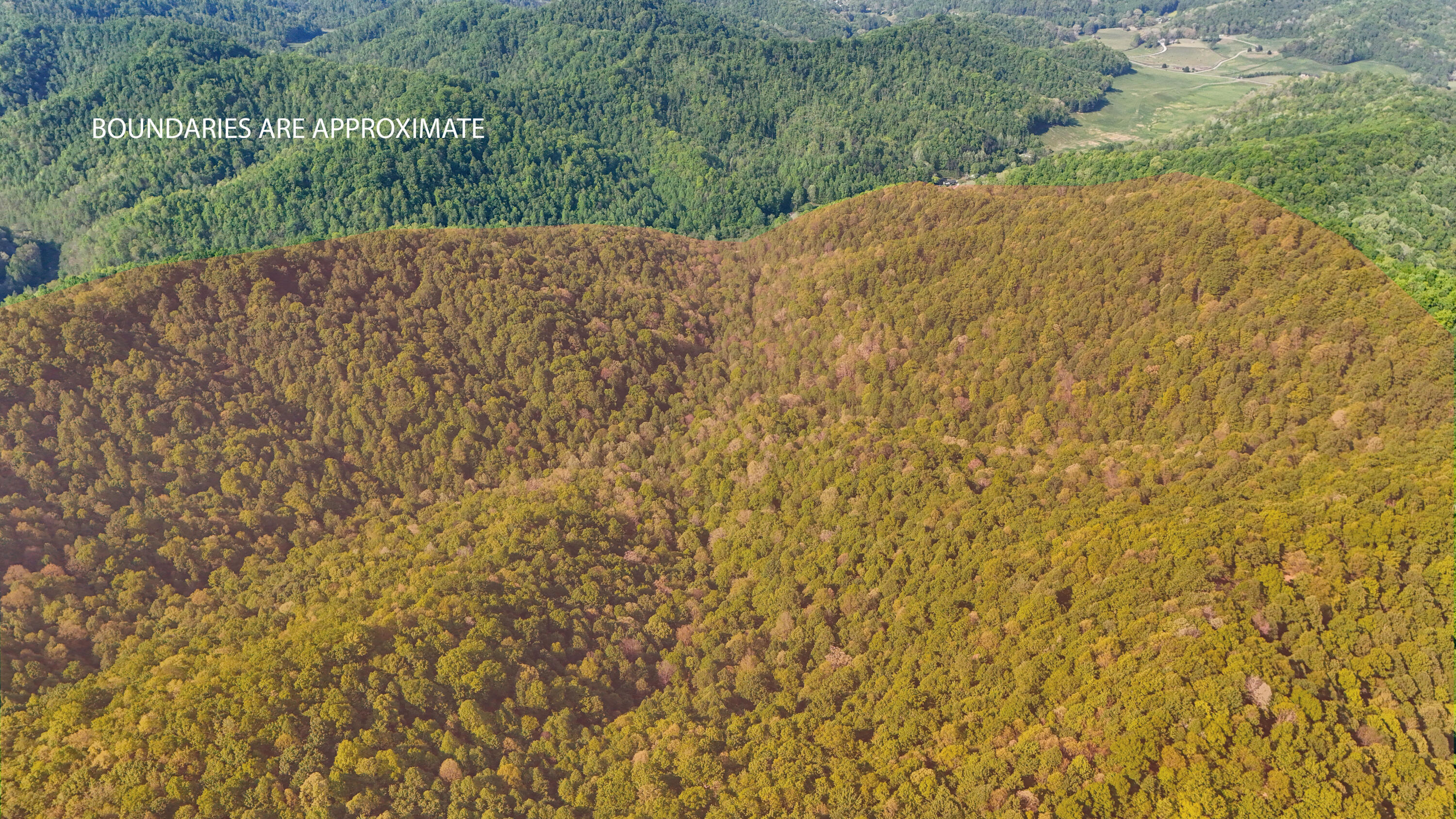 0 Hawn Branch Road Bimble, KY 40915 - Photo 11 of 11 IMG_4958